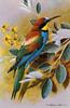 [Animal Art - Basil Ede] European Bee-eater (Merops apiaster)