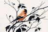 American Goldfinch (Carduelis tristis)