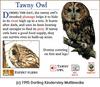 Tawny Owl (Strix aluco)