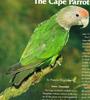 Brown-necked Parrot (Poicephalus robustus)