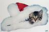 [SDC2001 Xmas] Kitten