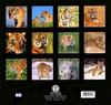 [CPerrien Tigers-Calendar-2001] Back cover