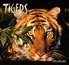 [CPerrien Tigers-Calendar-2001] Front Cover