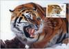 [Fafnir] WWF Tiger Postcard 1986]