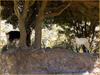 [Sharper - Trip to Crete] Goats