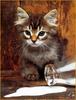 [Sharper - Minnie's Friends SWD] Kitten