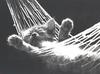 [GrayCreek Calendar 2001] Kitten