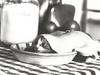 [GrayCreek Calendar 2001] Kitten