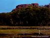 [DOT CD01] Australia - Birds at Wetlands of Kakadu National Park