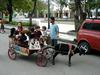 [DOT CD02] Cuba - Goat Cart