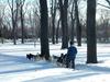 [DOT CD02] Montreal - Sled dogs