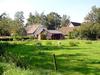 [DOT CD02] Hoevelaken, Netherlands - Sheep