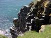 [DOT CD02] St. Marys, Newfoundland - Gulls