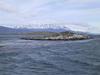 [DOT CD02] Ushuaia, Argentina, South America - Auk colony