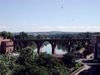 [DOT CD03] France Albi - Birds