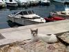 [DOT CD03] France - Corsica - Rousse City Harbor - Cat
