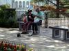 [DOT CD03] Italy - Amalfi Coast - Ravello Picnic - Cats