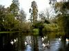 [DOT CD03] Netherlands - Province of Utrecht - City of Utrecht - Geese