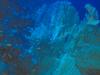 [DOT CD03] Underwater - Corals