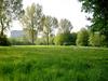 [DOT CD04] Belgium - Antwerp University - Goose
