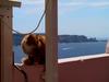 [DOT CD04] France - Corsica Bonifacio - Cat