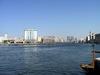 [DOT CD04] United Arab Emirates - Dubai Creek - Gulls
