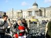 [DOT CD04] United Kingdom - London Trafalgar Square - Pigeons