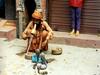 [DOT CD05] Nepal Kathmandu - Cobras