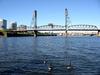 [DOT CD05] Oregon Portland Willamette River - Canada Geese