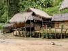 [DOT CD05] Thailand Northern Districts - Chickens