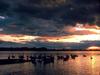 [DOT CD06] Austria Vorarlberg Fussach Lake Constance - Swans