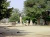 [DOT CD06] Egypt - Sakkara - Dogs