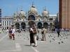 [DOT CD06] Italy Venice - Pigeons