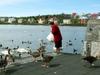 [DOT CD07] Iceland Reykjavik - Geese