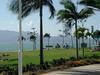 [DOT CD08] Australia Queensland - Townsville Area - Gulls