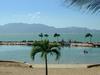 [DOT CD08] Australia Queensland - Townsville Area - Gulls