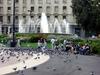 [DOT CD08] Spain Barcelona Sqare of Catalonia - Pigeons