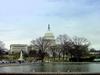 [DOT CD08] Washington DC - US Capitol - Gulls
