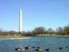 [DOT CD08] Washington DC - Wahington Monument - Canada Geese