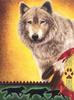 [vc Scan] Ananya Native American - Shadow Wolf