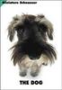 [Dog Breeds] Miniature Schnauser
