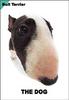 [Dog Breeds] Bull Terrier