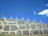 [DOT CD09] Western Australia, Perth Cottesloe Beach - Gulls
