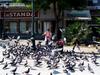 [DOT CD09] Greece Athens Downtown Square - Pigeons
