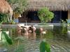 [DOT CD09] Mexico Iberostar Resorts - Flamingo