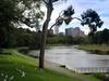 [DOT CD10] Australia Victoria Melbourne Yarra River - Gulls