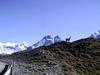 [DOT CD10] Chile Torres del Paine National Park - Guanaco