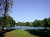 [DOT CD11] Germany Munich English Garden - Swans