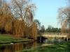 [DOT CD11] Netherlands Roosendaal - Ducks