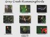 [GrayCreek Hummingbirds] Index 001